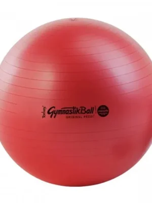 Odeslání Ihned LEDRAGOMMA TONKEY GYMNASTIK BALL Maxafe 65 cm