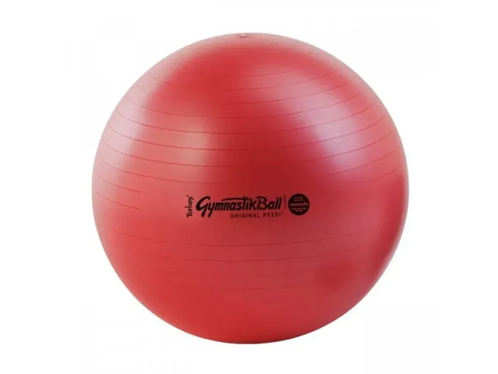 Odeslání Ihned LEDRAGOMMA TONKEY GYMNASTIK BALL Maxafe 65 cm