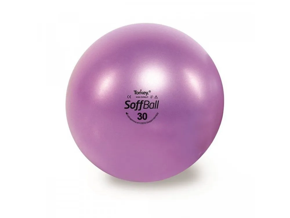 Aktuální LEDRAGOMMA TONKEY SOFFBALL Maxafe míč 30 cm, fialová, krabička