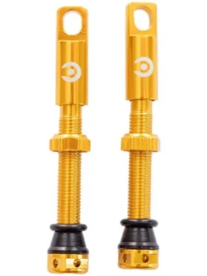 Cenově Výhodný Ventilek Protocycles 44mm s hliníkovou čepičkou - zlatá