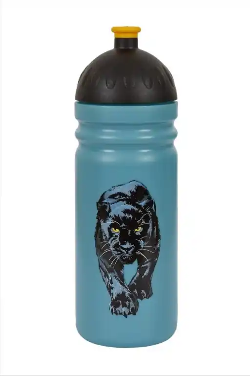 Zdravá láhev R&B Panter 700ml Cenový Hit