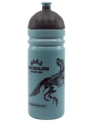 Zdravá láhev R&B T-REX 700ml Nakupujte Hned