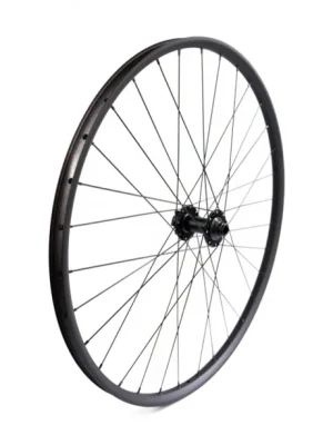 Zapletené kolo Disc 29 Thru-Axle přední Koupit Online
