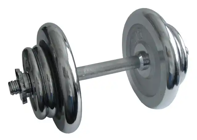 Jen Po Omezenou Doba Nakládací činka jednoruční, chromová 17kg - 25mm
