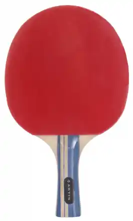 Nejlepší Volba Pálka na stolní tenis ARTIS 400