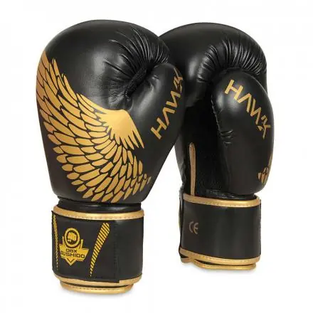 Boxerské rukavice DBX BUSHIDO B-2v17 Nejlepší Cena