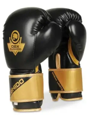 Nejlepší Volba Boxerské rukavice DBX BUSHIDO B-2v10