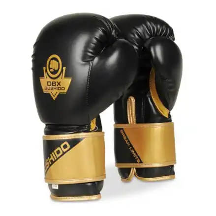 Nejlepší Volba Boxerské rukavice DBX BUSHIDO B-2v10