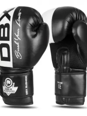 Boxerské rukavice DBX BUSHIDO B-2V20 Levný