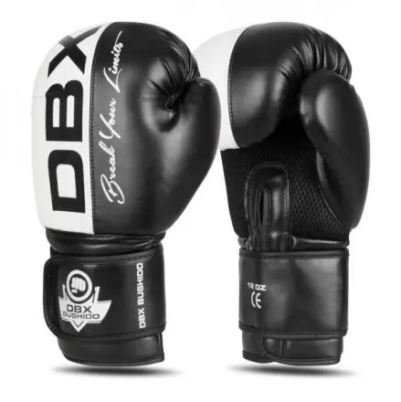 Boxerské rukavice DBX BUSHIDO B-2V20 Levný