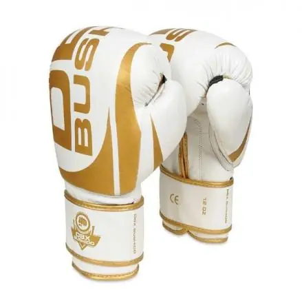 Boxerské rukavice DBX BUSHIDO DBD-B-2 v1 Přímo Od Výrobce