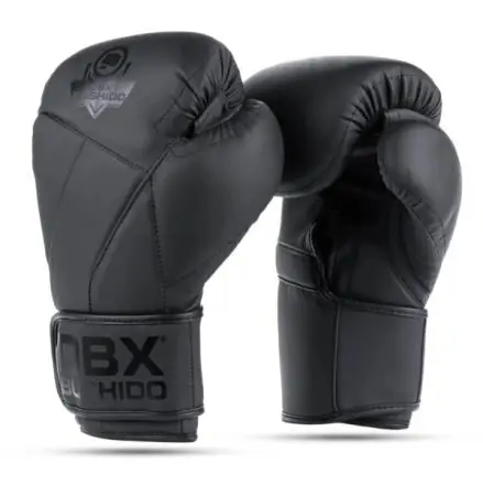 Vrácení Zdarma Boxerské rukavice DBX BUSHIDO B-2v15B