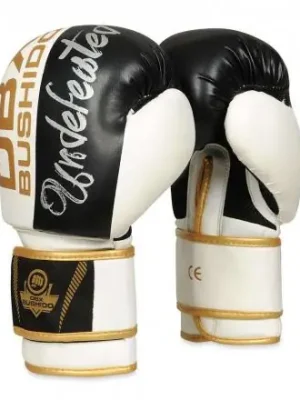 Boxerské Rukavice DBX BUSHIDO B-2V16 Koupit Online