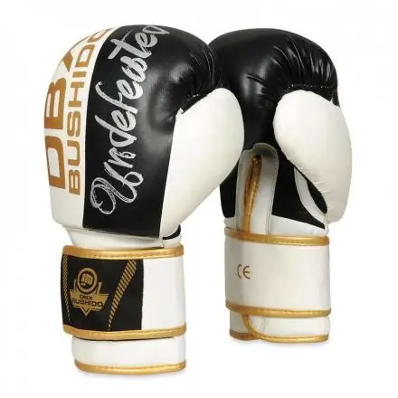 Boxerské Rukavice DBX BUSHIDO B-2V16 Koupit Online