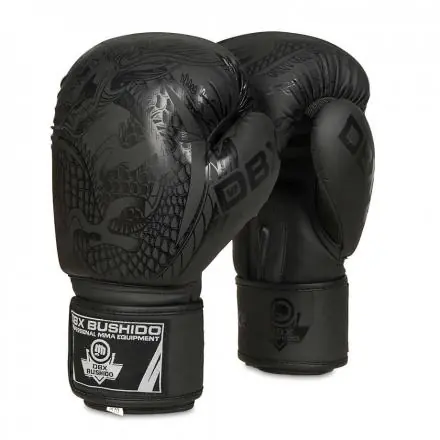 Speciální Cena Boxerské rukavice DBX BUSHIDO B-2v18