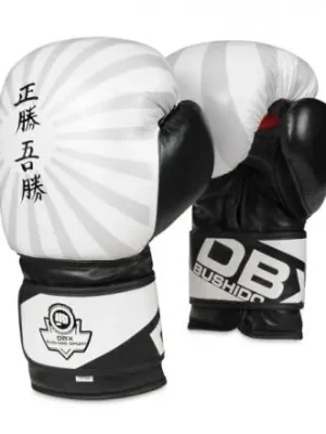 Tovární Cena Boxerské rukavice DBX BUSHIDO B-2V8