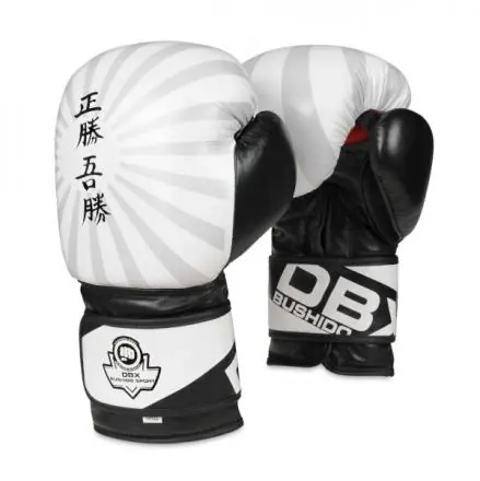 Tovární Cena Boxerské rukavice DBX BUSHIDO B-2V8