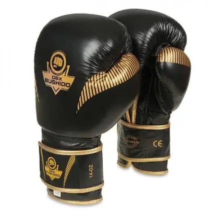 Vrácení Zdarma Boxerské rukavice DBX BUSHIDO B-2v13