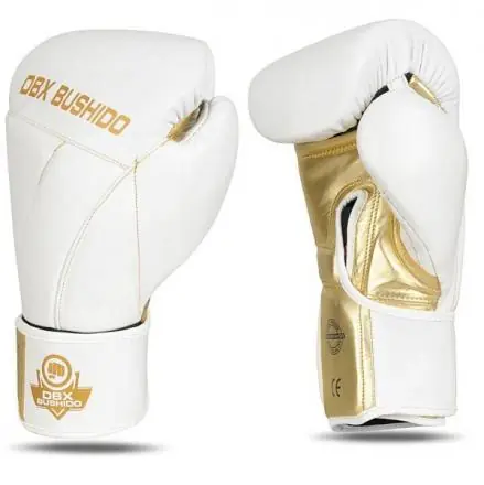 Doprava Zdarma Boxerské rukavice DBX BUSHIDO B-2v19