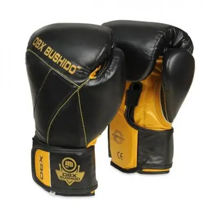 Sleva Boxerské rukavice DBX BUSHIDO B-2v14