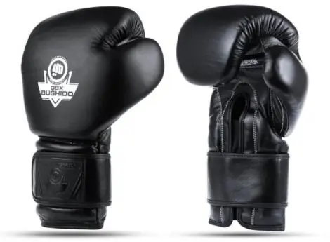 Speciální Cena Boxerské rukavice DBX BUSHIDO B-ProFight