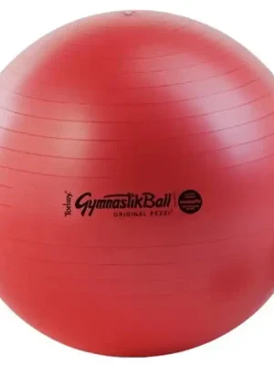 Ihned K Objednání LEDRAGOMMA TONKEY GYMNASTIK BALL Maxafe 65 cm Typ: Růžová